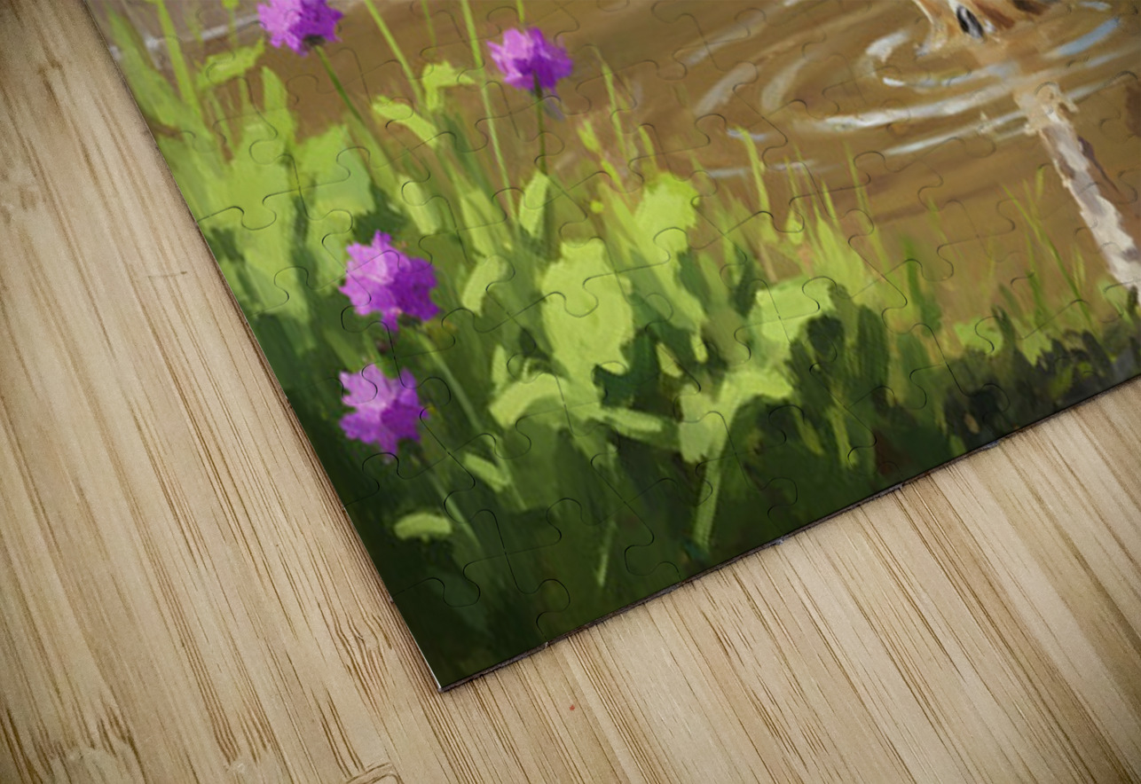 German Shorthaired Pointer Puppy Discovers Muddy Puddle Puppy Prints Puzzle