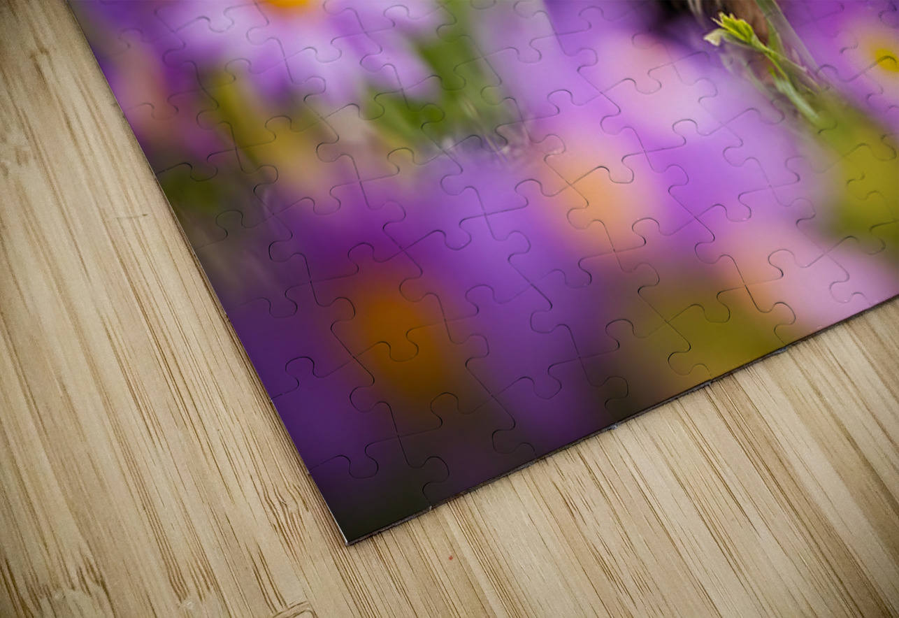 Yorkshire Terrier Puppy Finds Big Stick Adventure Puppy Prints Puzzle