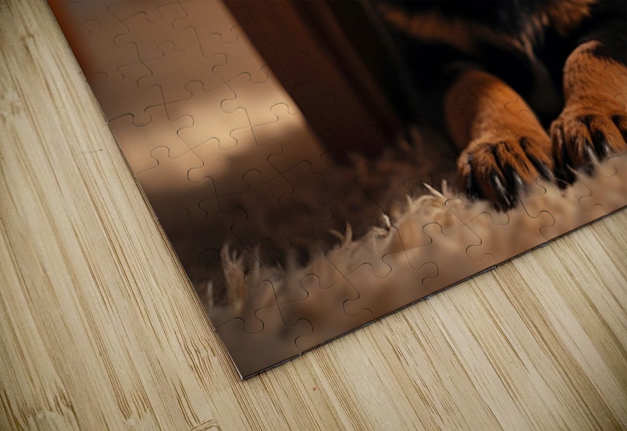 Rottweiler Puppy Joins The Family Fun Puppy Prints Puzzle