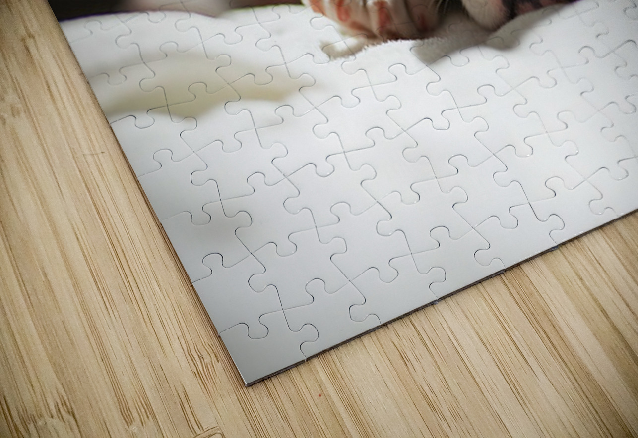 Bulldog Puppy Perfect Portrait Pose Puppy Prints Puzzle