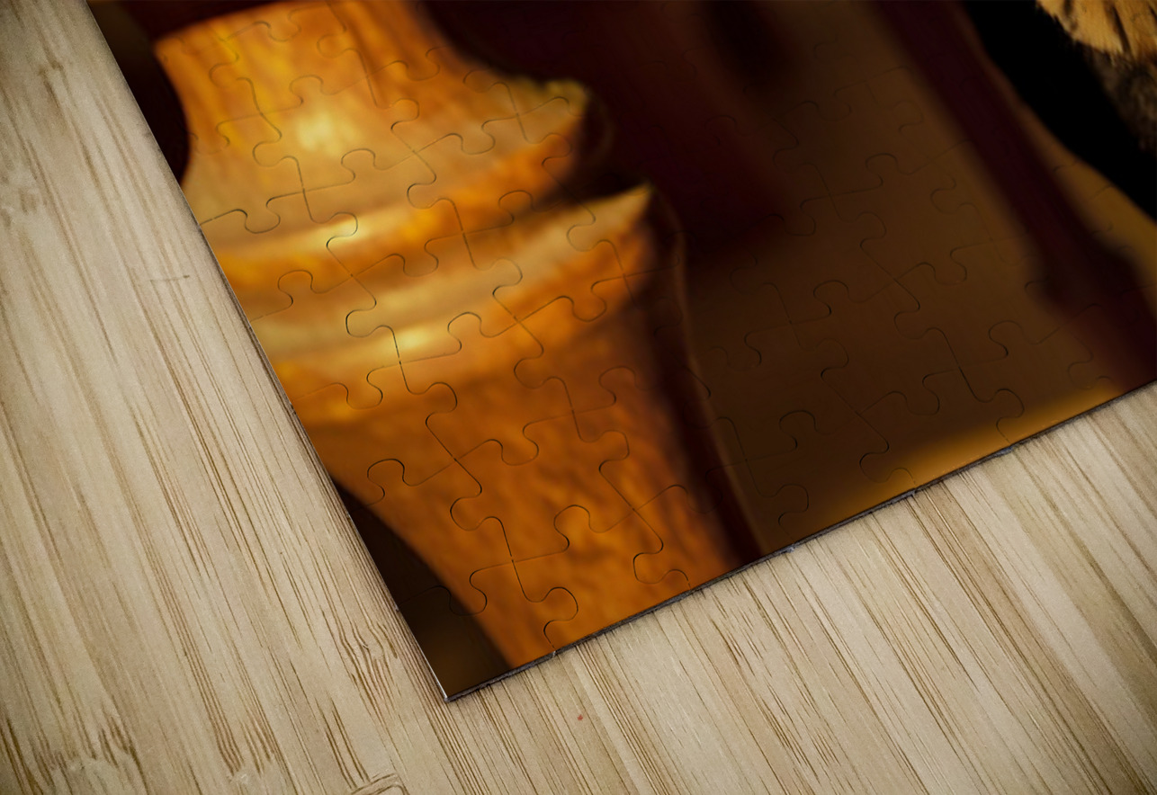 Rottweiler Puppy Discovers Family Game Night Puppy Prints Puzzle