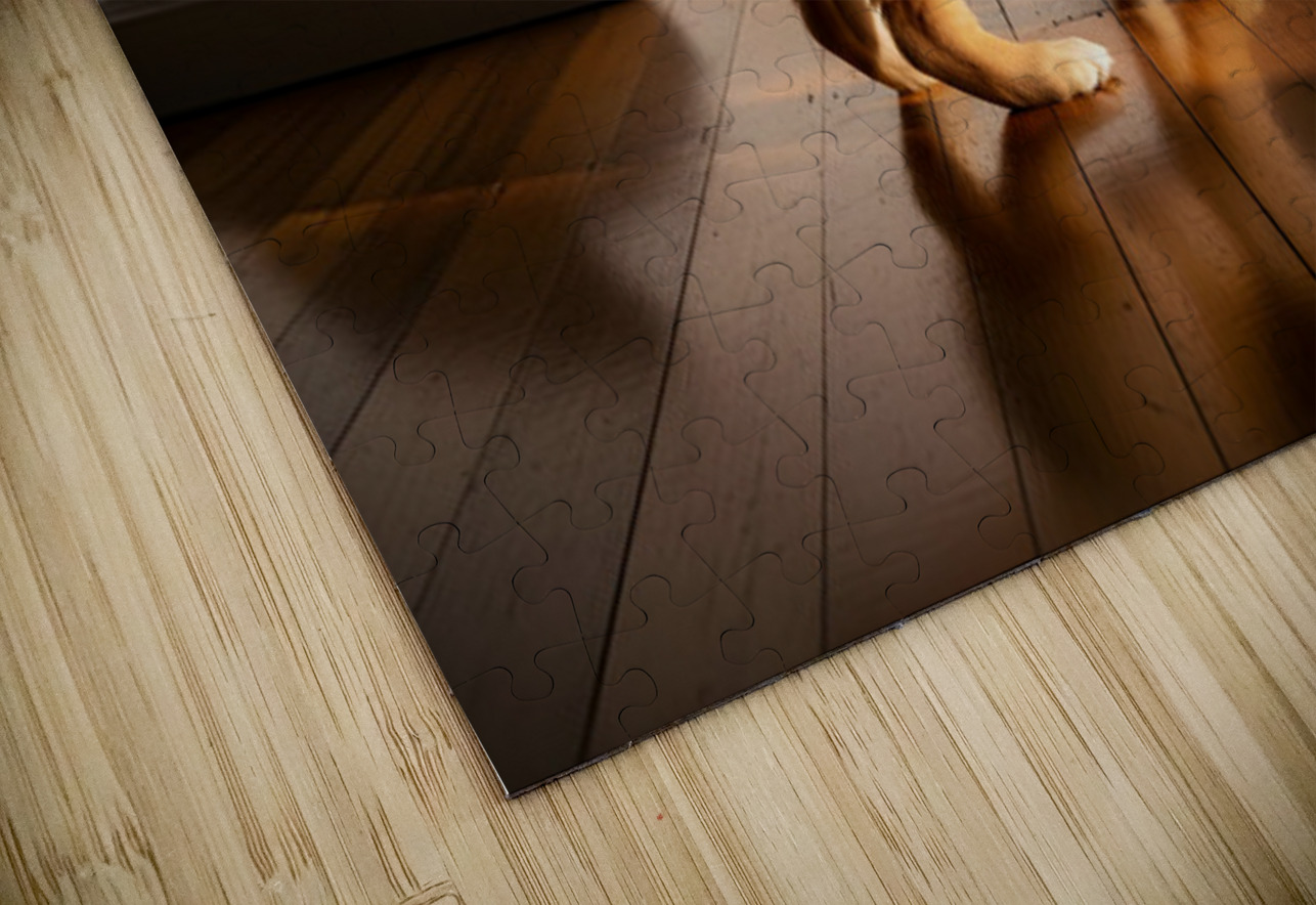 Sleepy Golden Retriever Puppy Rests After Shadow Chase Puppy Prints Puzzle