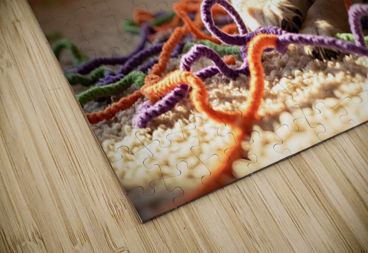 Golden Retriever Puppy Discovers Colorful Yarn Ball Puppy Prints Puzzle