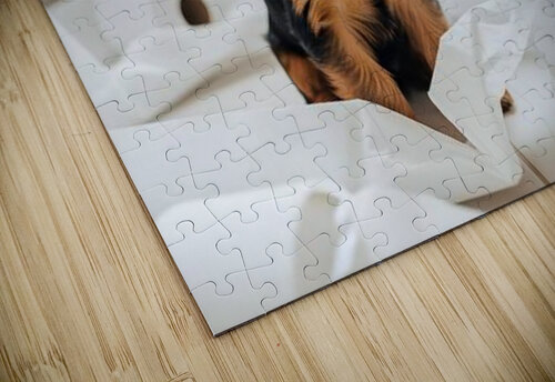 Brown Yorkshire Terrier Puppy With Unrolled Toilet Paper Trail Mess Puppy Prints puzzle