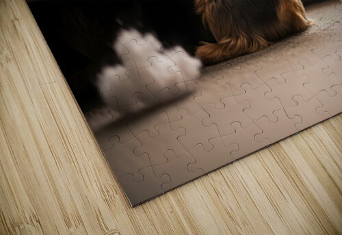 Brown Yorkshire Terrier Puppy Hiding Under Couch After Mess Puppy Prints puzzle