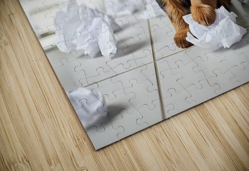 Guilty Yorkshire Terrier Puppy Surrounded By Shredded Tissue Puppy Prints puzzle
