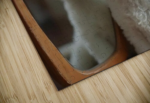 Thoughtful Bichon Frise Puppy Contemplates Its Mirror Reflection Puppy Prints puzzle
