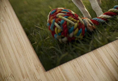 Beagle Puppy Discovers The Fun Rope Toy Puppy Prints puzzle