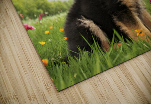 German Shepherd Puppy Discovers Butterfly In Meadow Puppy Prints puzzle