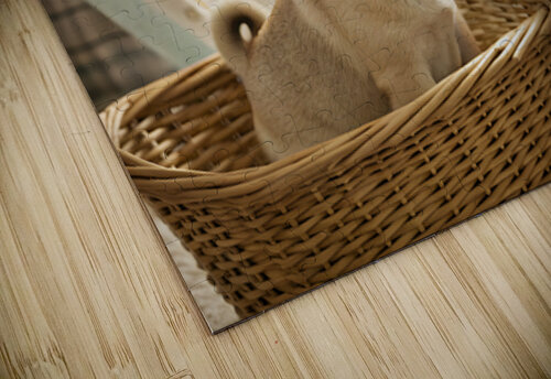 Pug Puppy Discovers Cozy Laundry Basket Puppy Prints puzzle