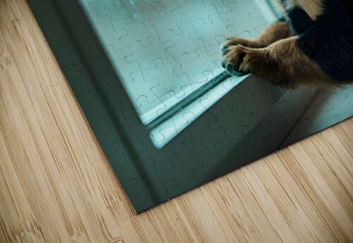 Hopeful Rottweiler Puppy Anticipates End Of Rainy Weather Puppy Prints puzzle