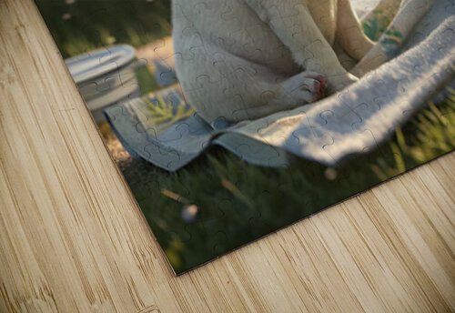 Clean And Fluffy French Bulldog Puppy In Sunlight Puppy Prints puzzle