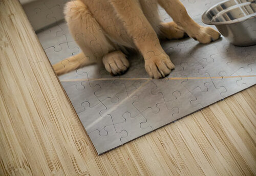 Satisfied Golden Retriever Puppy After Finishing Meal Puppy Prints puzzle