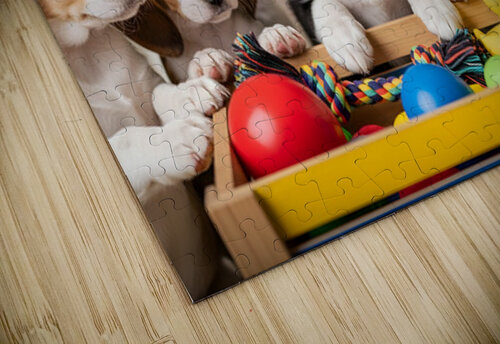 Border Collie Puppy Discovers Exciting Toy Box Puppy Prints puzzle