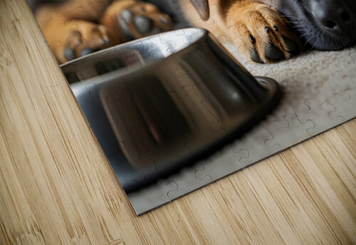 Drowsy German Shepherd Puppy Resting After Eating Puppy Prints puzzle
