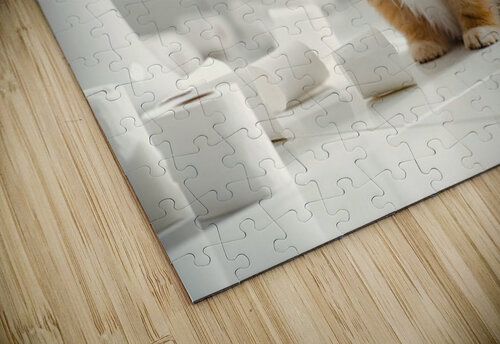 Pomeranian Puppy Discovers Toilet Paper Roll Puppy Prints puzzle