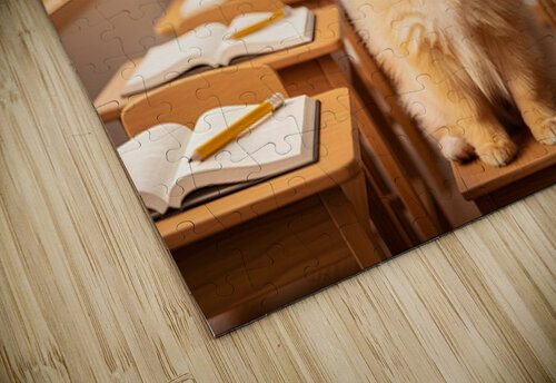 Pomeranian Puppys Big Graduation Day Puppy Prints puzzle