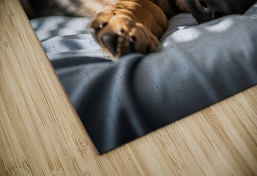 German Shepherd Puppy Waking Up From Nap Puppy Prints puzzle