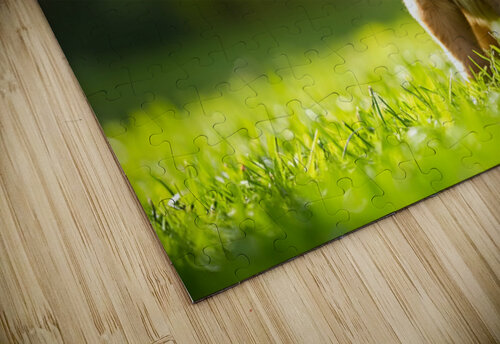 Proud Puppy Successfully Stands After Sploot Adventure Puppy Prints puzzle