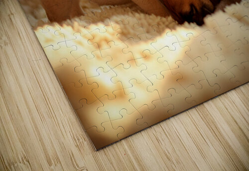 Pug Puppy Gently Wakes Sleeping Friend Puppy Prints puzzle