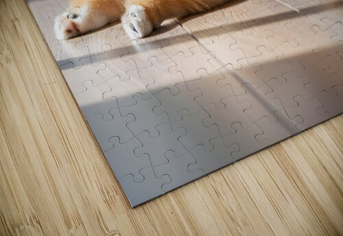 Pomeranian Puppy Discovers The Perfect Sploot Position Puppy Prints puzzle