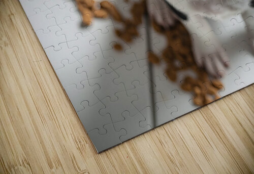 Guilty Boston Terrier Puppy After Making Mess Puppy Prints puzzle