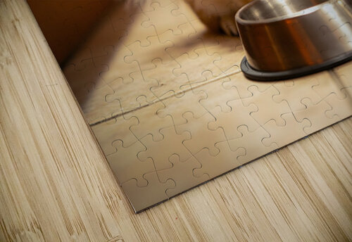Pomeranian Puppy Waits By Empty Food Bowl Puppy Prints puzzle