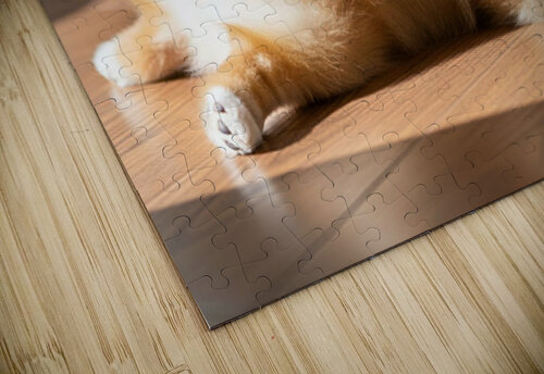 Pomeranian Puppy Returns To Beloved Sploot Position Puppy Prints puzzle