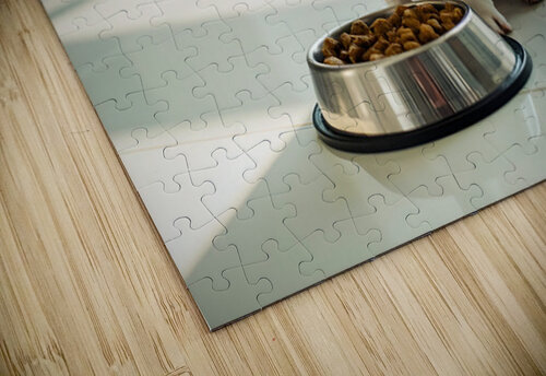 Boston Terrier Puppy Discovers Dinner Time Puppy Prints puzzle