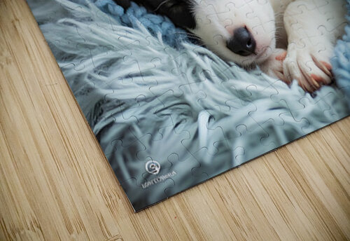 Border Collie Puppy Dreams Under Soft Blanket Puppy Prints puzzle