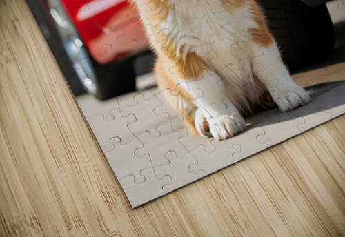 Clean Corgi Puppy After Successful Car Wash Puppy Prints puzzle