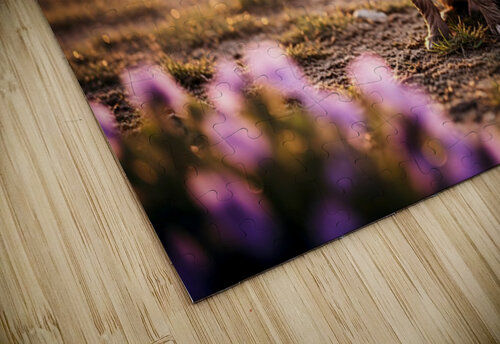 Muddy Chihuahua Puppy After Playtime Puppy Prints puzzle