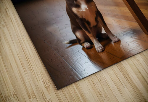 Chihuahua Puppy Discovers Birthday Cake Puppy Prints puzzle