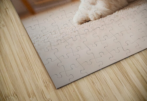Tired Bichon Frise Puppy Rests After Zoomies Fun Puppy Prints puzzle