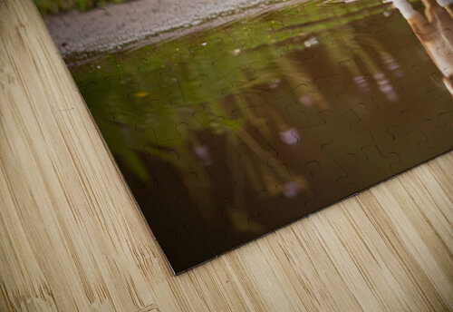 Chihuahua Puppy Discovers Muddy Puddle Puppy Prints puzzle