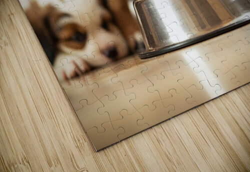Rottweiler Puppy Spots The Water Bowl Puppy Prints puzzle