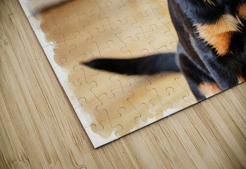 Eager Rottweiler Puppy Hopes For More Scratches Puppy Prints puzzle