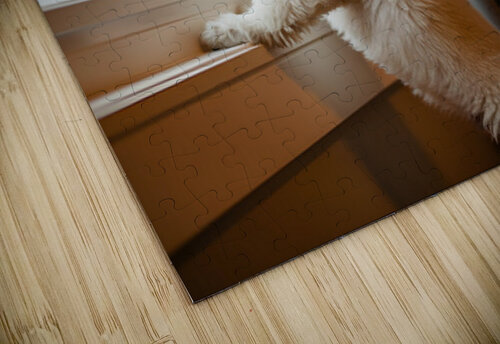 Poodle Puppy Discovers First Snowfall Through Window Puppy Prints puzzle