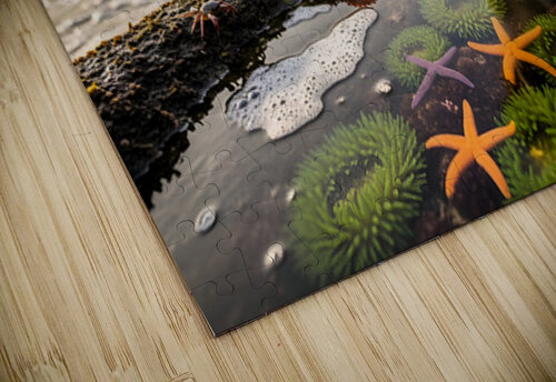 Australian Shepherd Puppy Discovers Tide Pools Puppy Prints puzzle