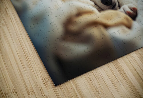 Sleepy Husky Puppy Naps In Laundry Nest Puppy Prints puzzle