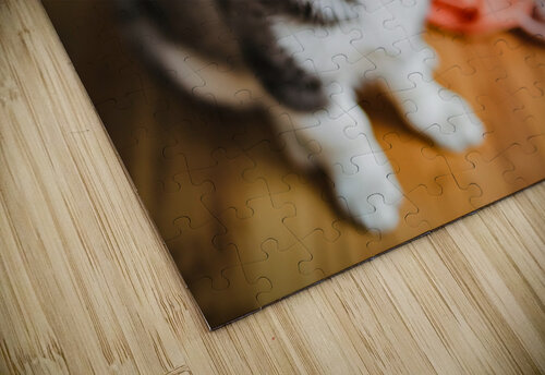 Husky Puppy Discovers Laundry Pile Puppy Prints puzzle