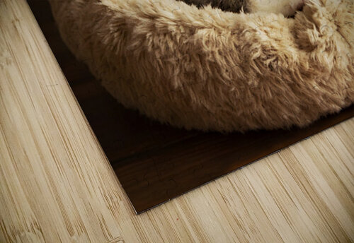 Sleepy Husky Puppy Napping In Corner Of Giant Bed Puppy Prints puzzle