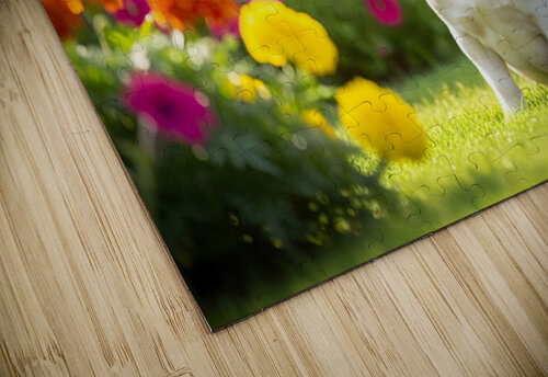 French Bulldog Puppy Finds Perfect Stick In Garden Puppy Prints puzzle