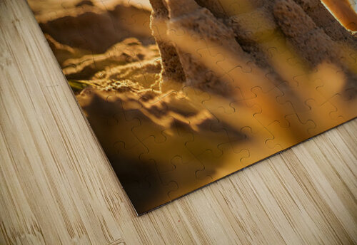 Golden Retriever Puppy Discovers Amazing Sand Castle Puppy Prints puzzle