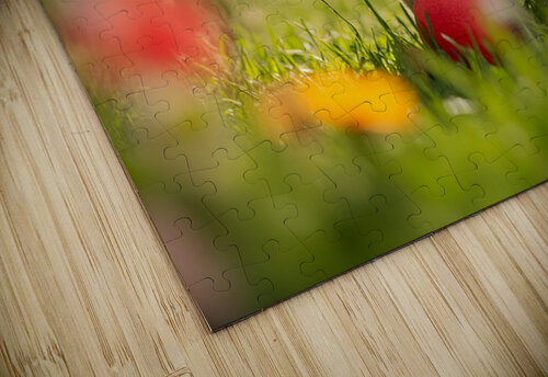 Golden Retriever Puppy Discovers A Giant Red Ball Puppy Prints puzzle