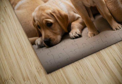 Happy Labrador Retriever Puppy Settles Into Cozy Spot Puppy Prints puzzle