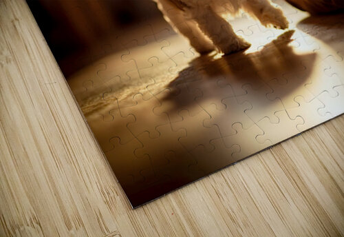 Sleepy Shih Tzu Puppy Ready For Bedtime Puppy Prints puzzle