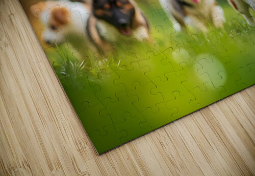 Corgi Puppy Spots Tennis Ball In Garden Puppy Prints puzzle