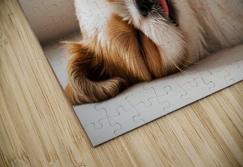 Sleepy Shih Tzu Puppy After Perfect Belly Rubs Puppy Prints puzzle