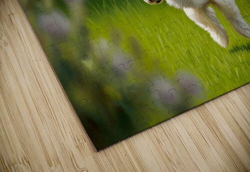 Victorious Shih Tzu Puppy With Tennis Ball Prize Puppy Prints puzzle